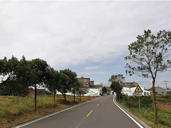 镇海杭州市政道路施工时间段深度剖析：平衡建设与城市生活